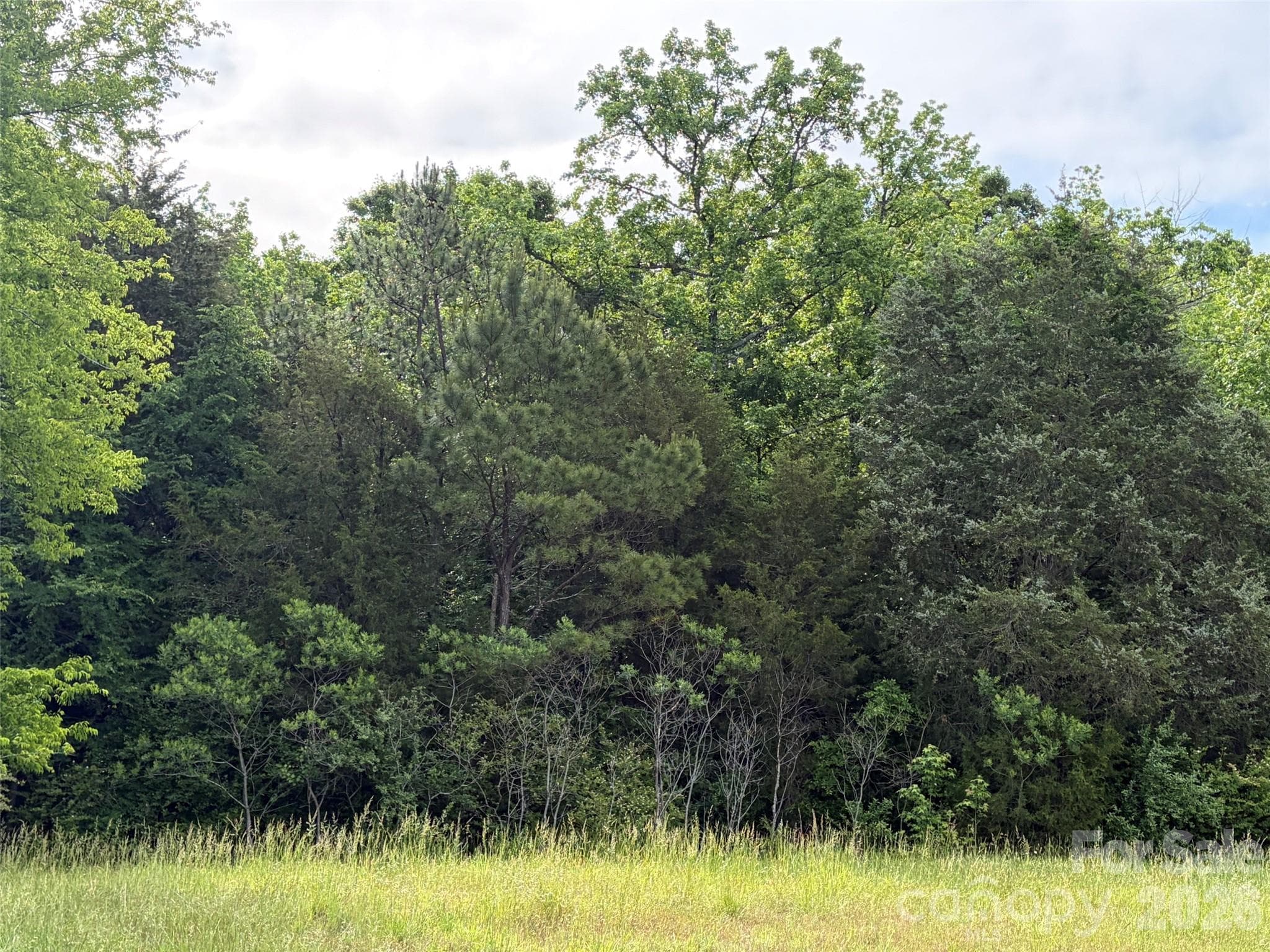 Acreage at Chester, photo 2 of 43
