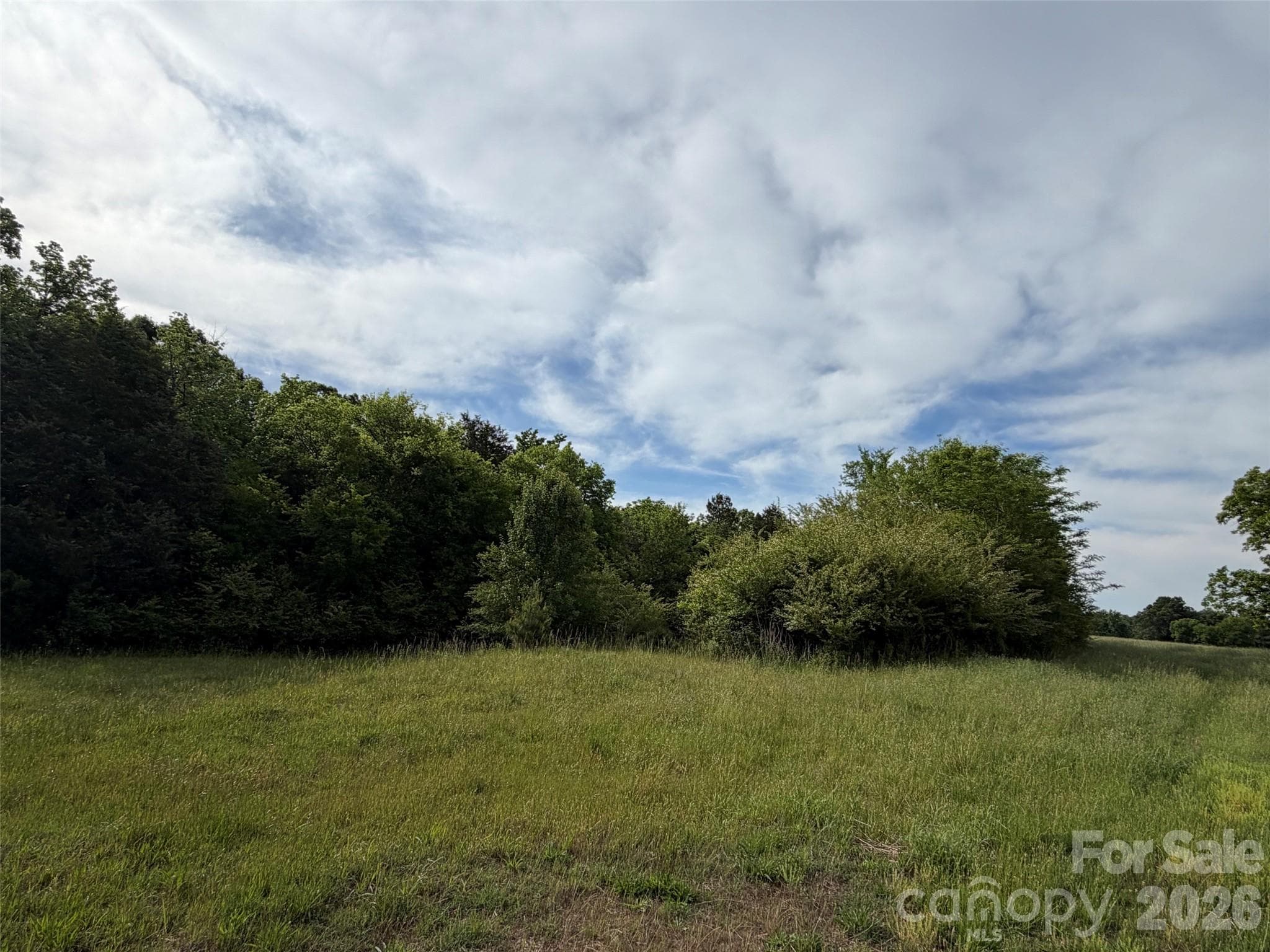 Acreage at Chester, photo 3 of 43