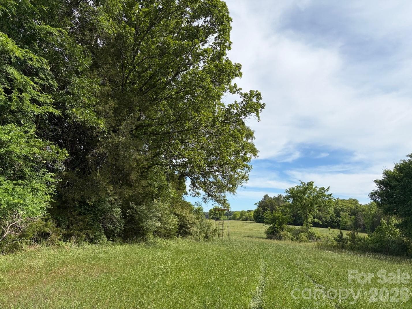 Acreage at Chester, photo 19 of 43
