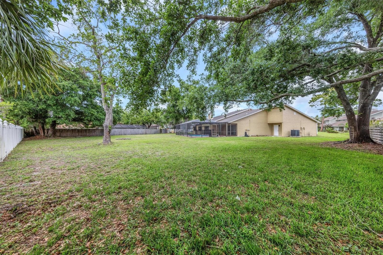 Rear Yard - 3334 BRIAN RD N, PALM HARBOR