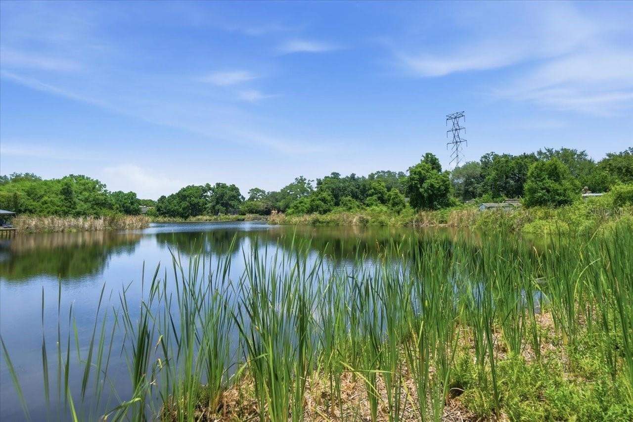 Land at 8901 S MOBLEY RD, TAMPA, photo 26 of 30