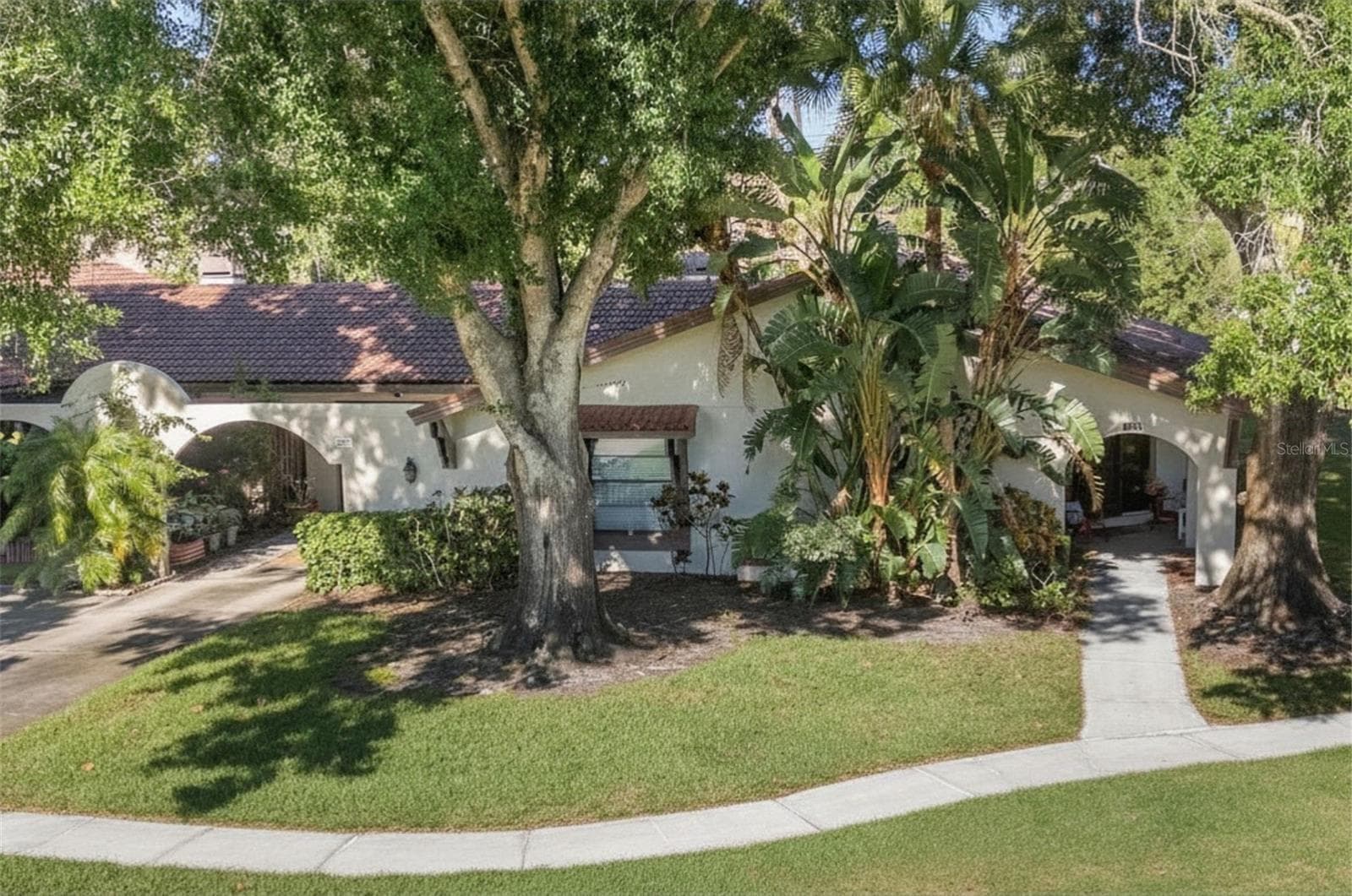 3446 TARPON WOODS BLVD