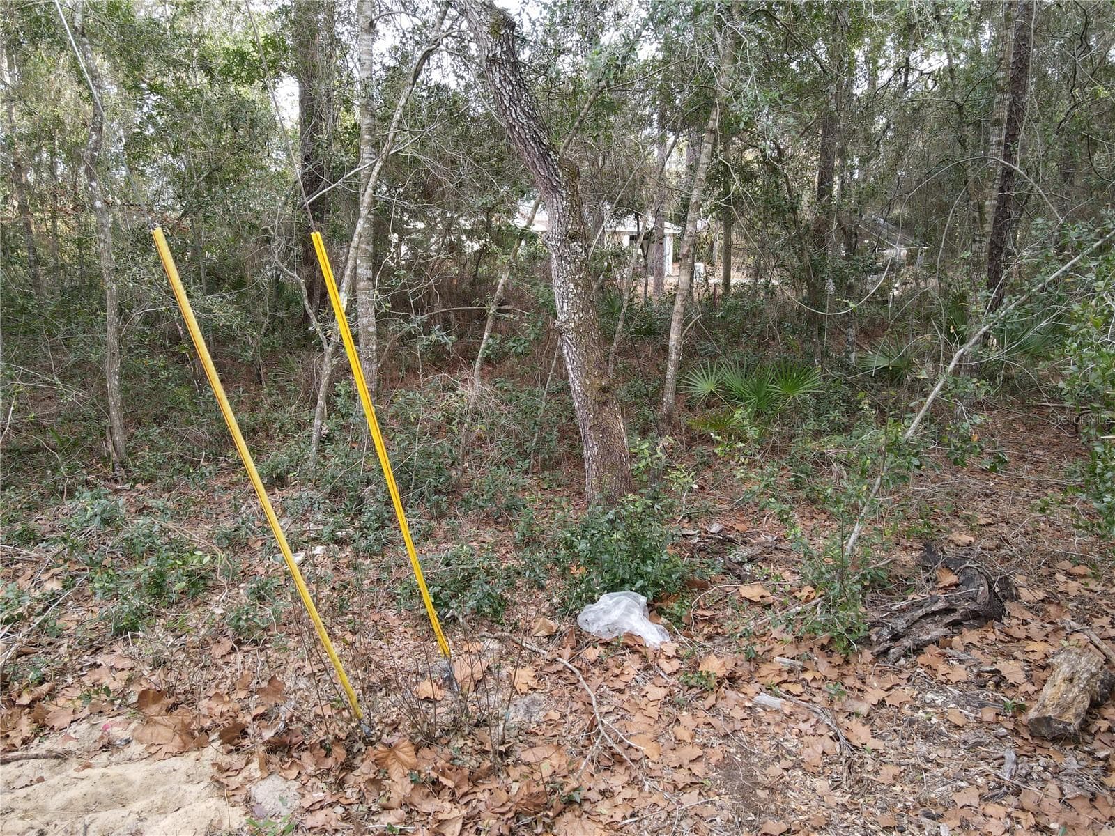 Land at W SEVENTH AVE, UMATILLA, photo 4 of 11