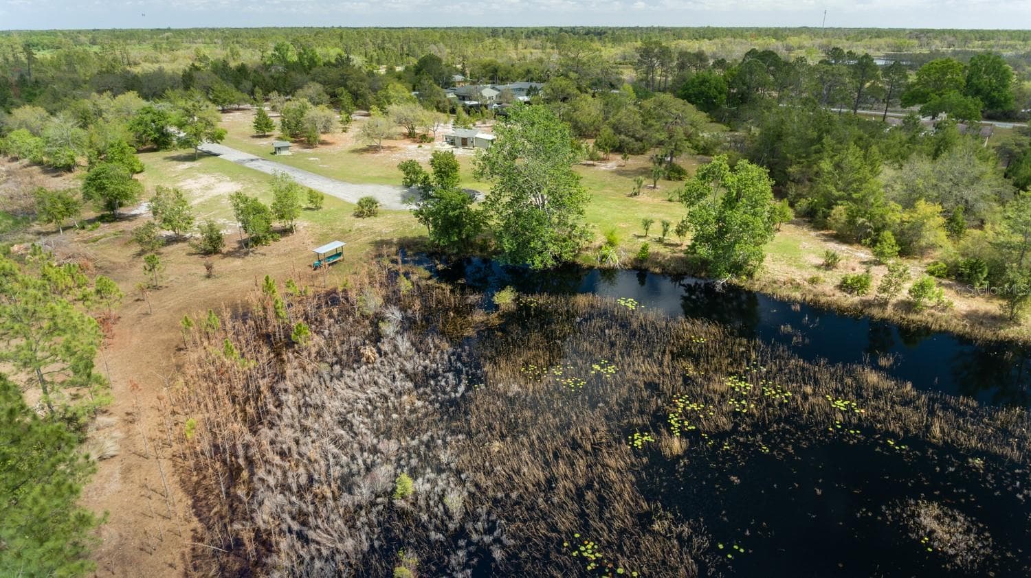 You'll love seeing the wildlife pass thru - S SEQUOIA WAY, EUSTIS