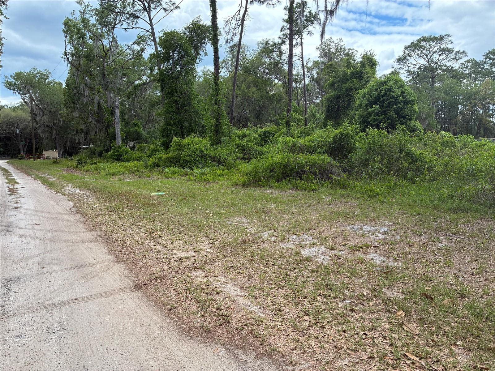 Land at 00 SE 87 ST, OCKLAWAHA, photo 2 of 3