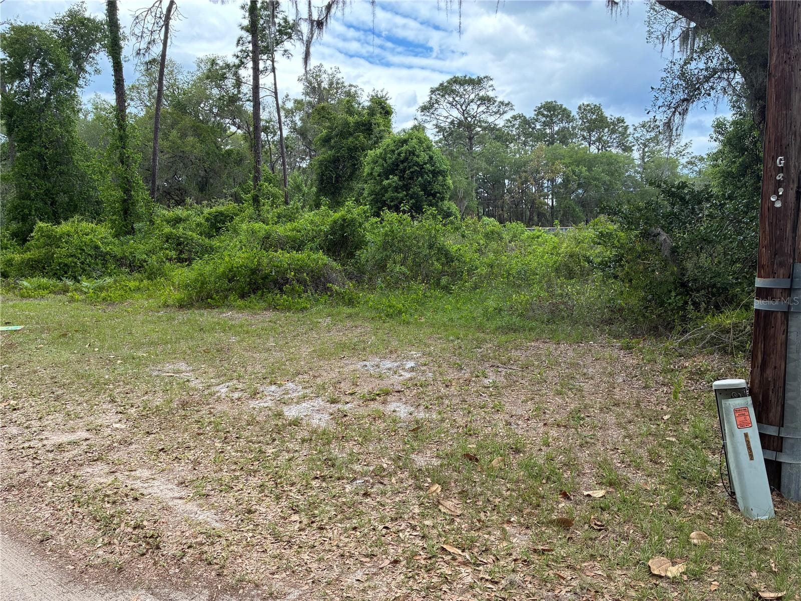 Land at 00 SE 87 ST, OCKLAWAHA, photo 3 of 3
