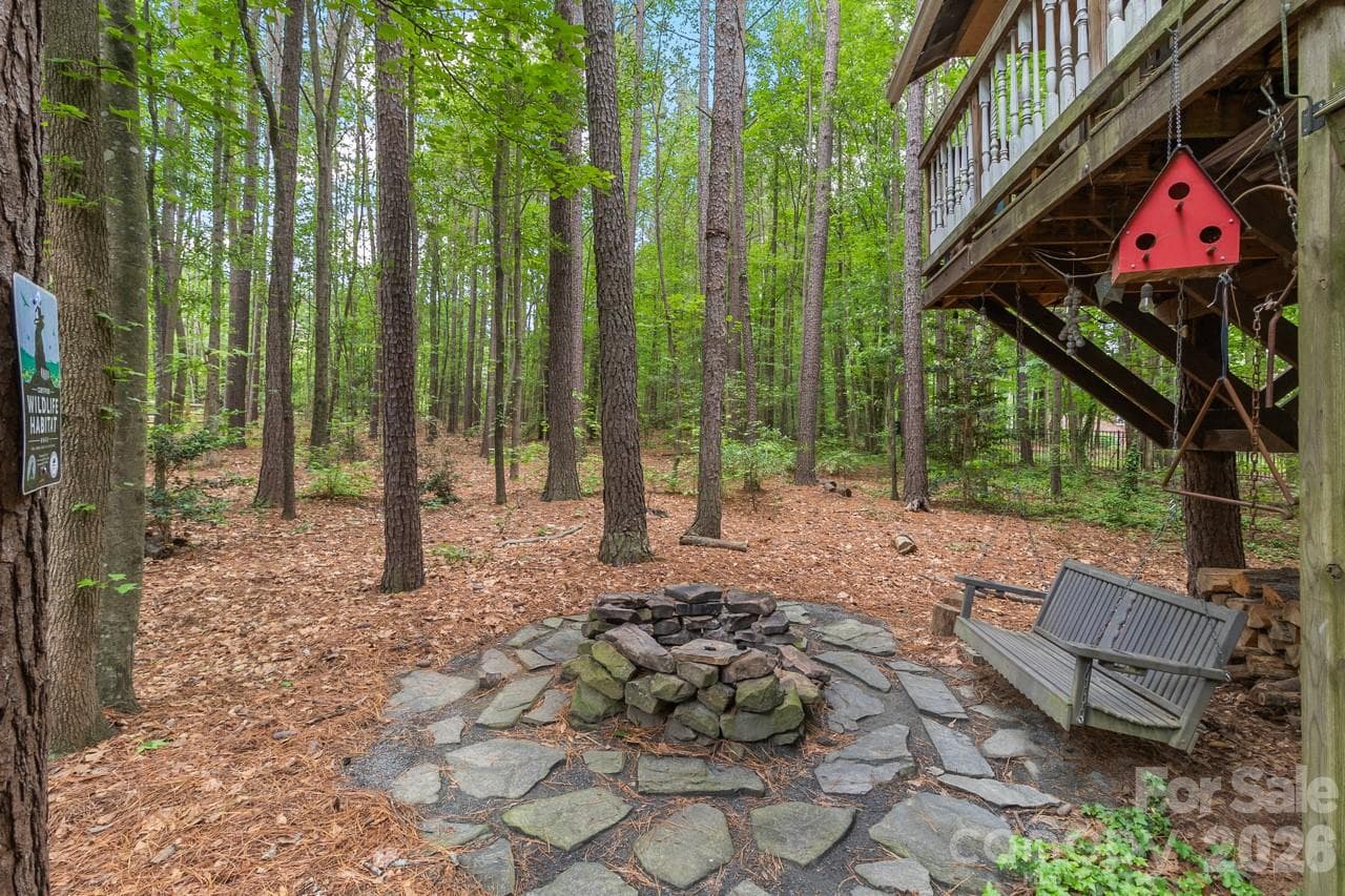 Fire pit! - 4415 Everclear Court, Charlotte