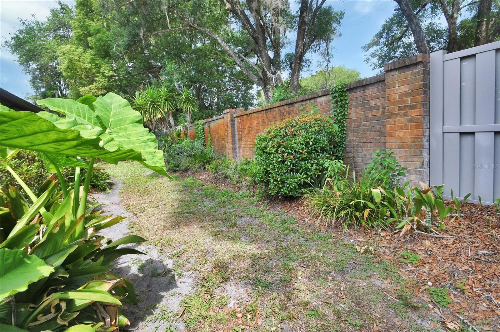Backyard. - 2919 REVERE PL #2919, DELAND