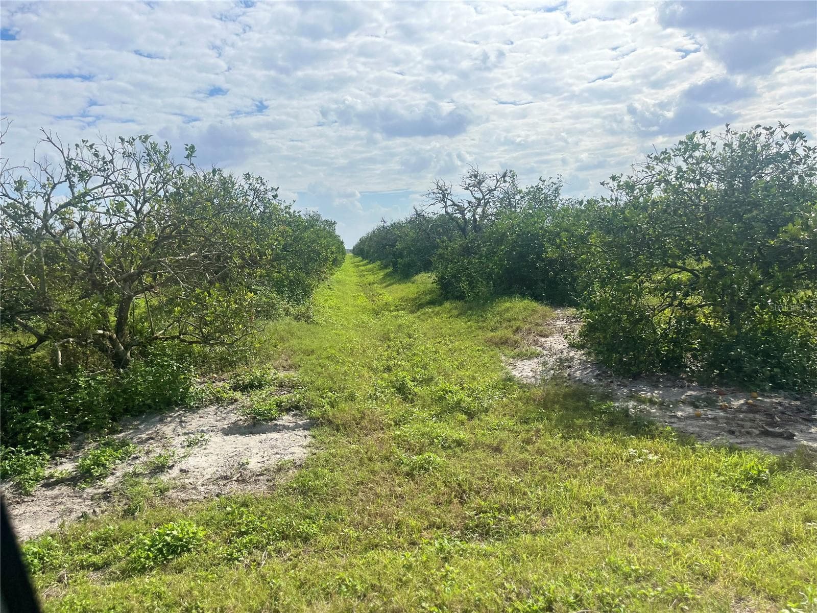 Land at NE HWY 70, ARCADIA, photo 2 of 2