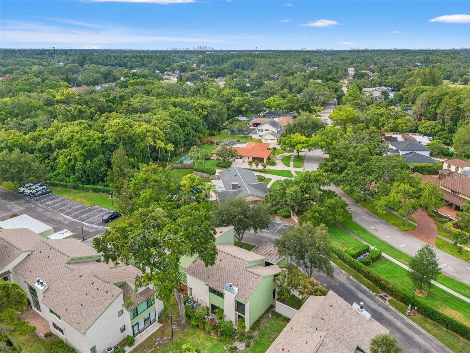 Condominium at 4138 PINELAKE LN #201, TAMPA, photo 42 of 50