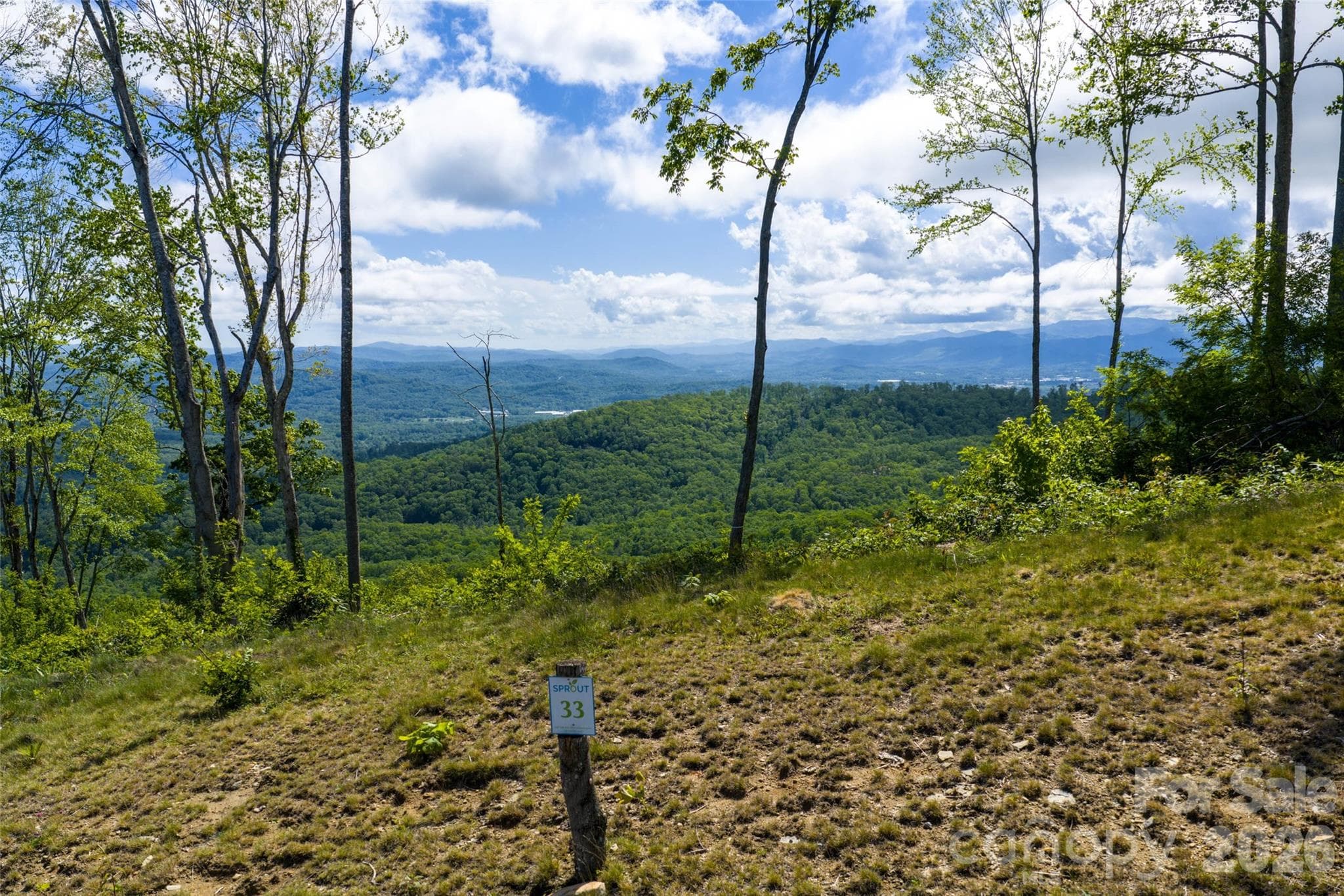 Lot at Hendersonville, photo 2 of 26