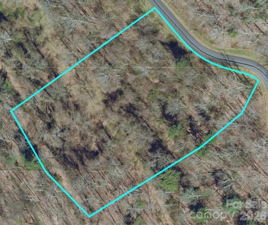Lot at Asheville, photo 6 of 9