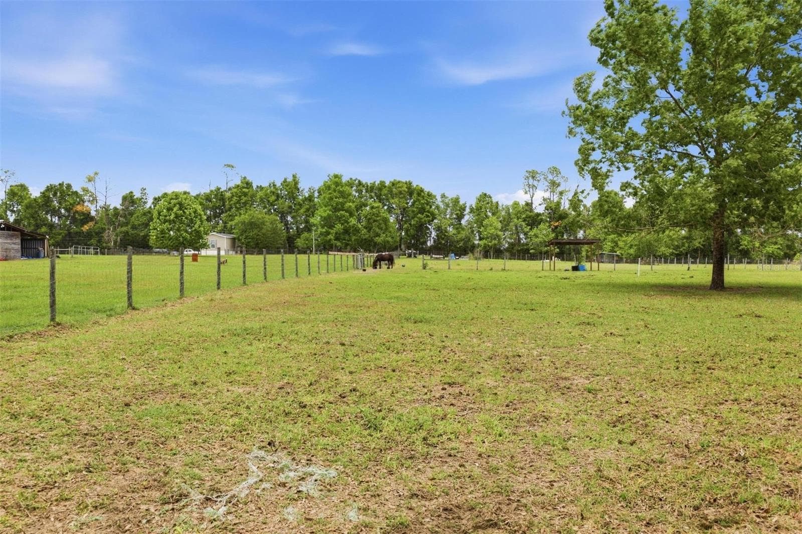 Fenced Paddock With Shelter - 3460 SE COUNTY ROAD 337, TRENTON