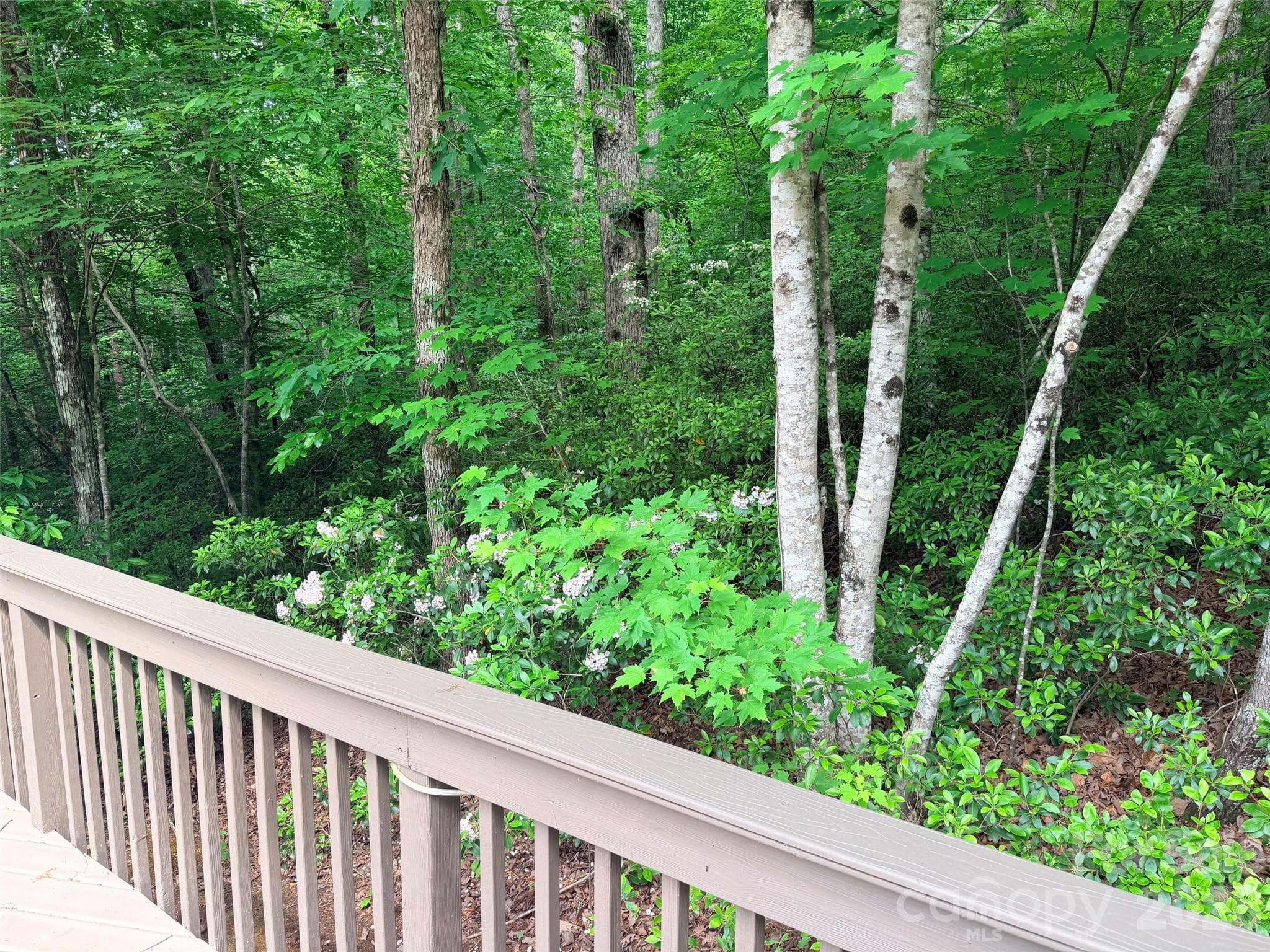 Lot at 104 Willis Way, Lake Lure, photo 5 of 16
