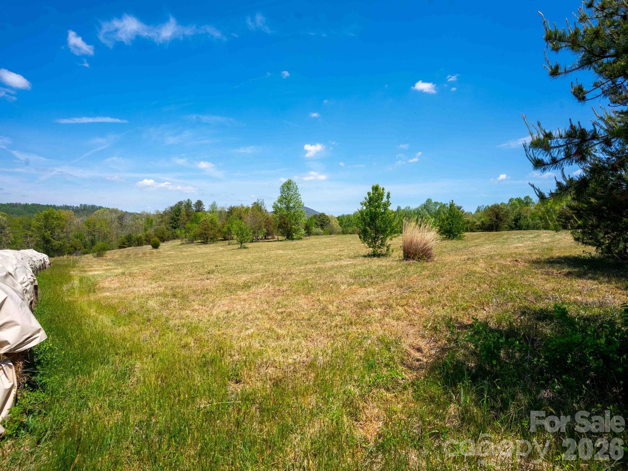 Acreage at Hendersonville, photo 3 of 26