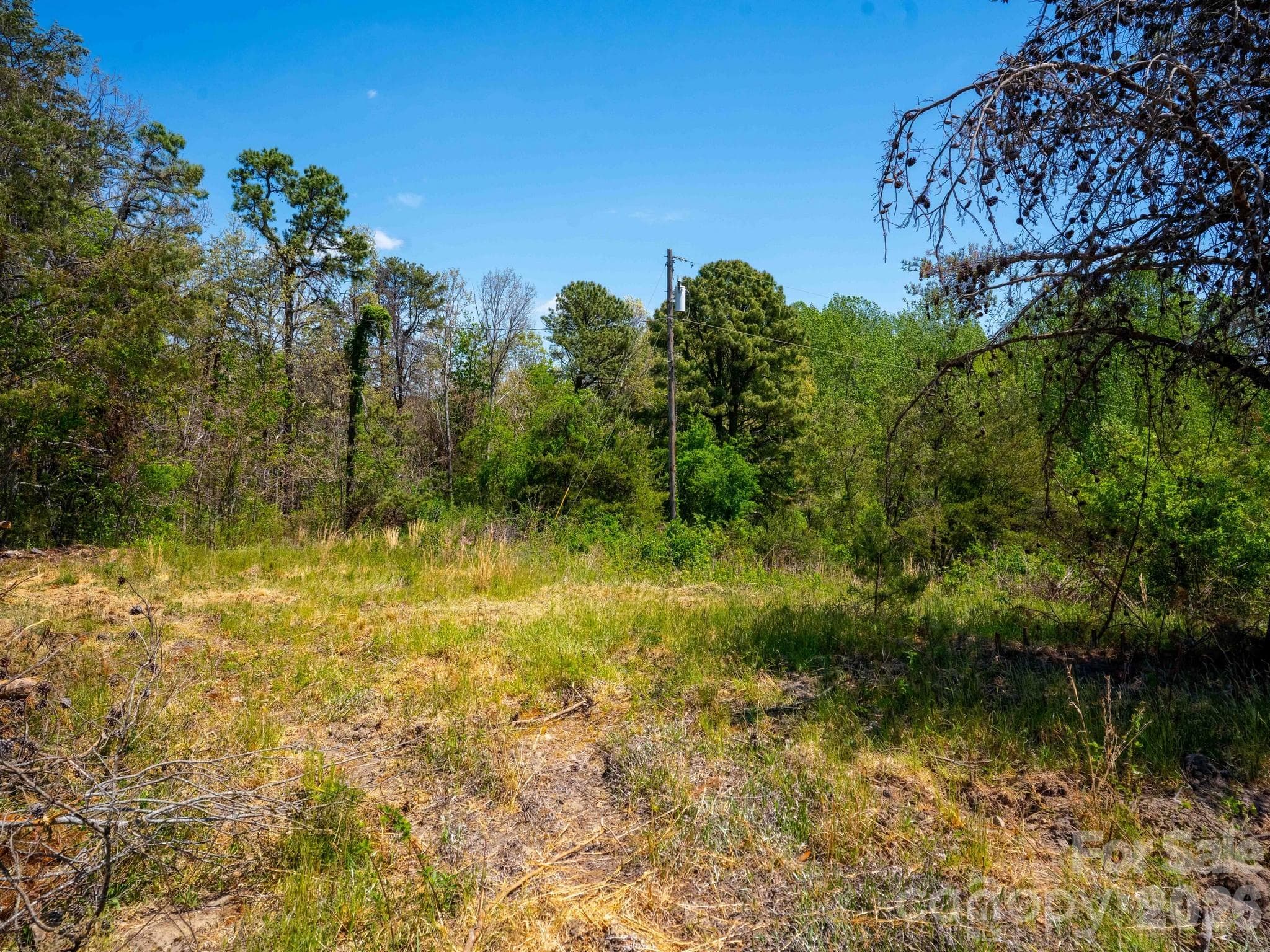 Acreage at Hendersonville, photo 4 of 26