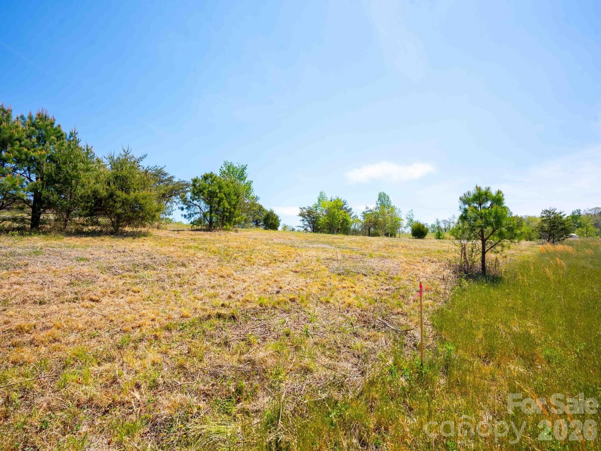 Acreage at 3670 Summer Road, Hendersonville, photo 6 of 22