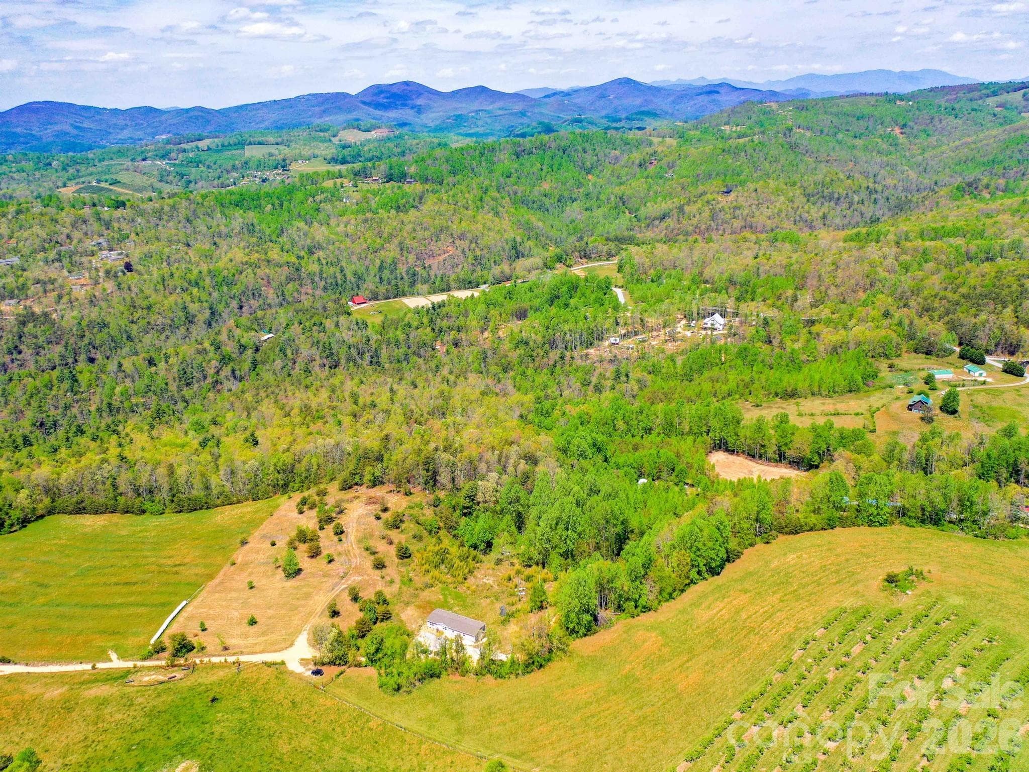 Acreage at 3670 Summer Road, Hendersonville, photo 15 of 22