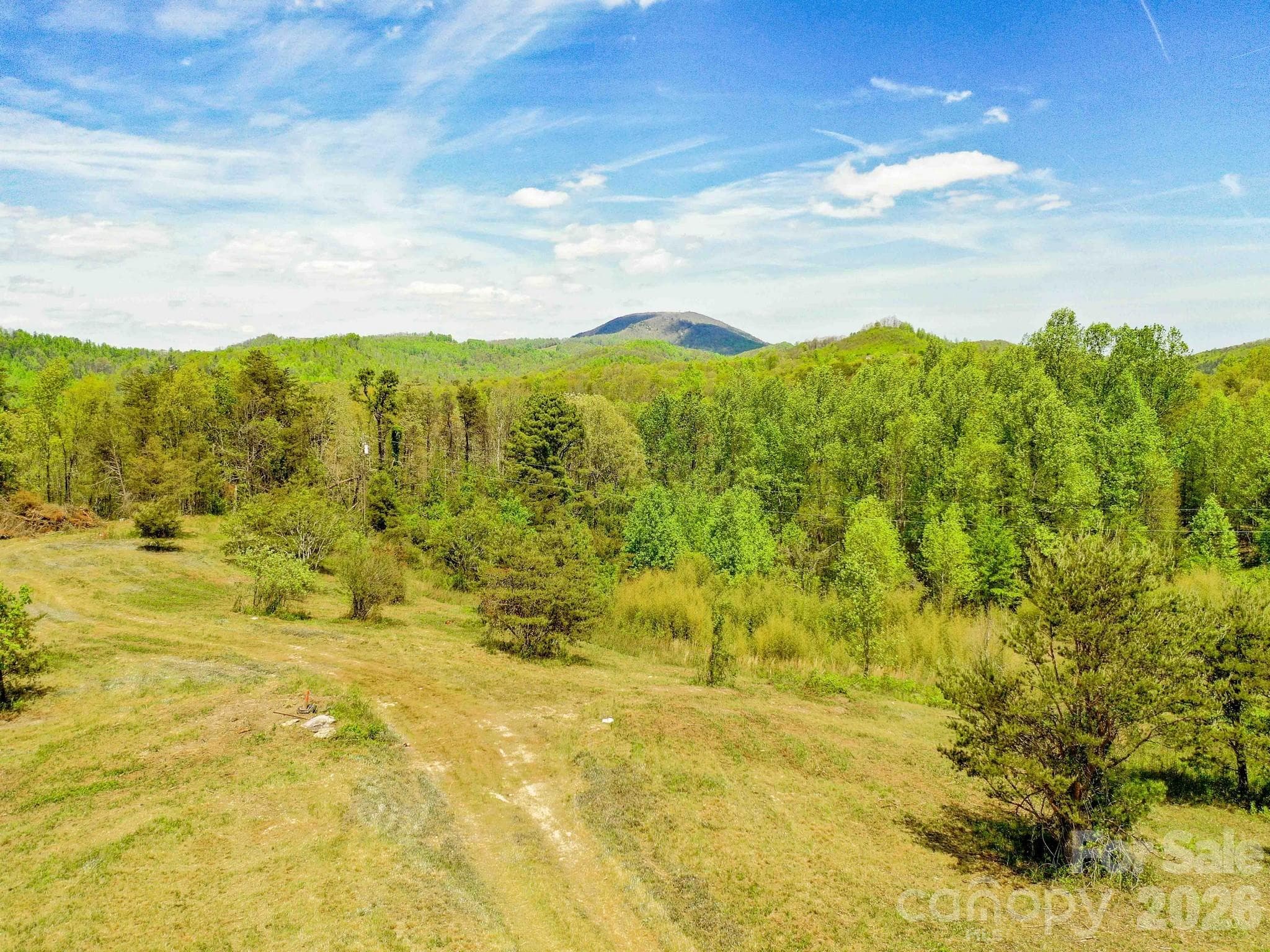Acreage at 3670 Summer Road, Hendersonville, photo 19 of 22