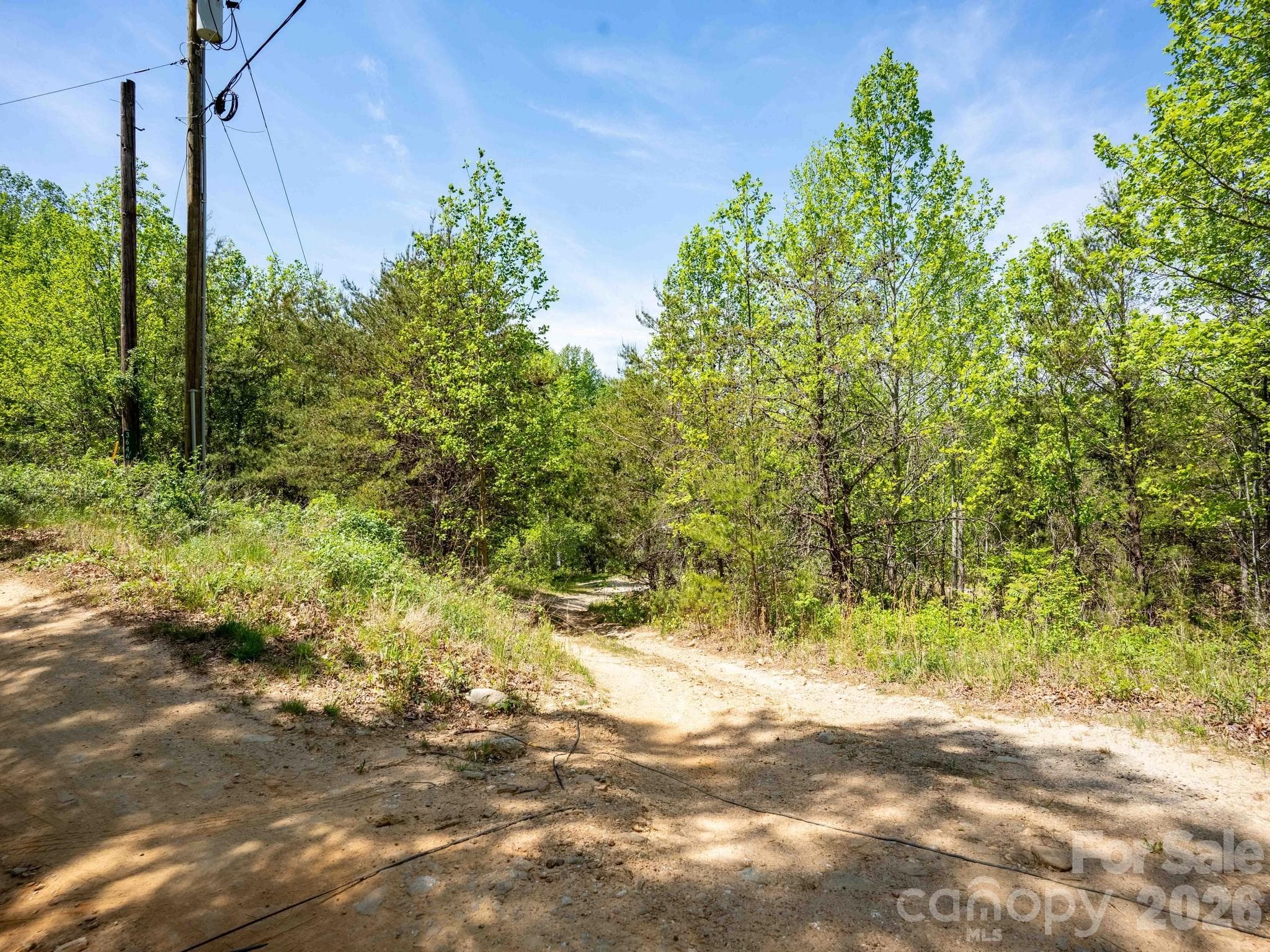 Acreage at 3670 Summer Road, Hendersonville, photo 22 of 22