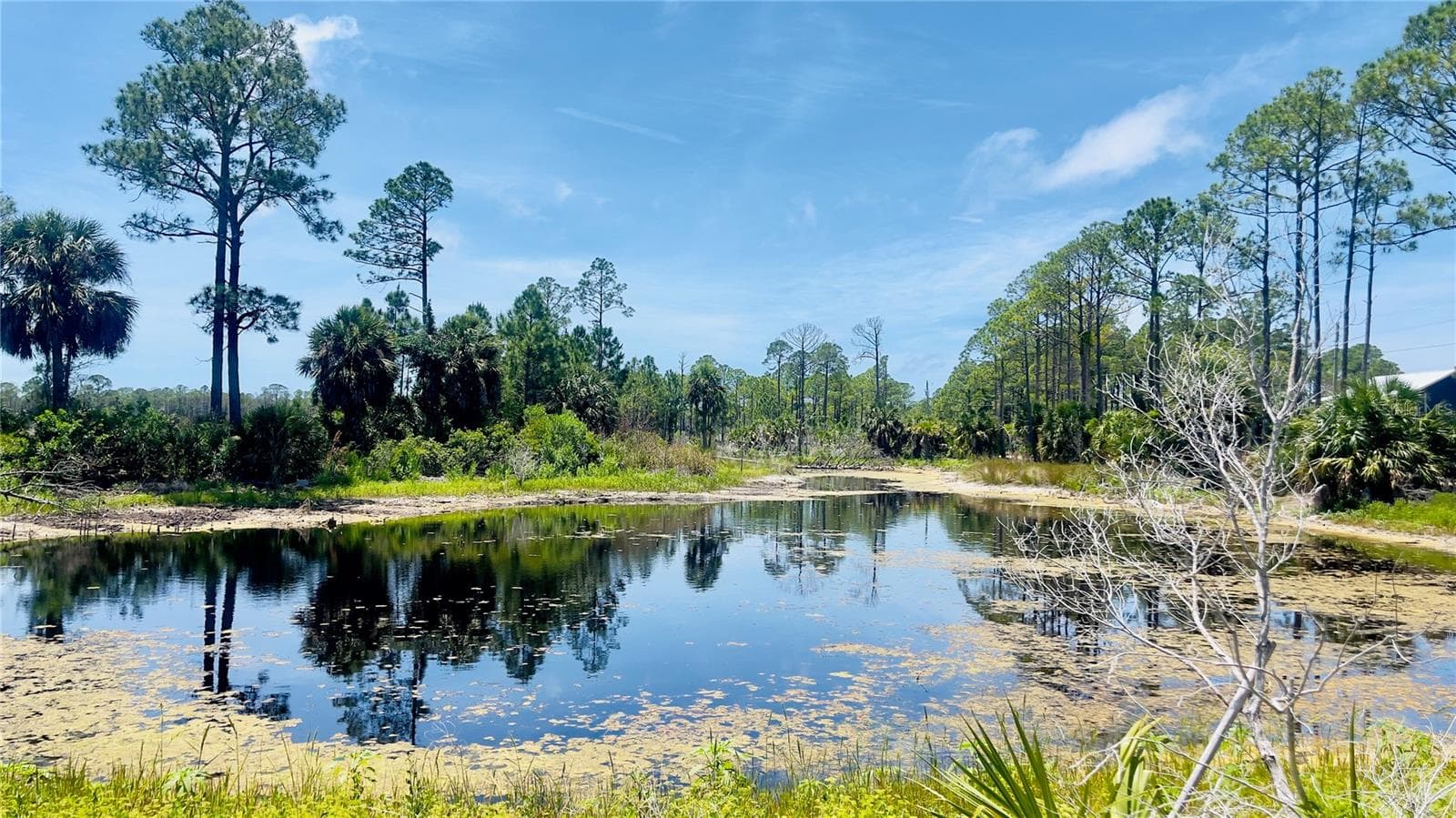 Land at TBD SW 101ST LN, CEDAR KEY, photo 5 of 11