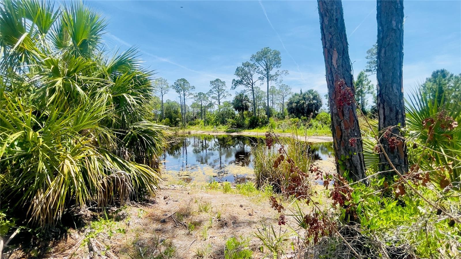 Land at TBD SW 101ST LN, CEDAR KEY, photo 6 of 11