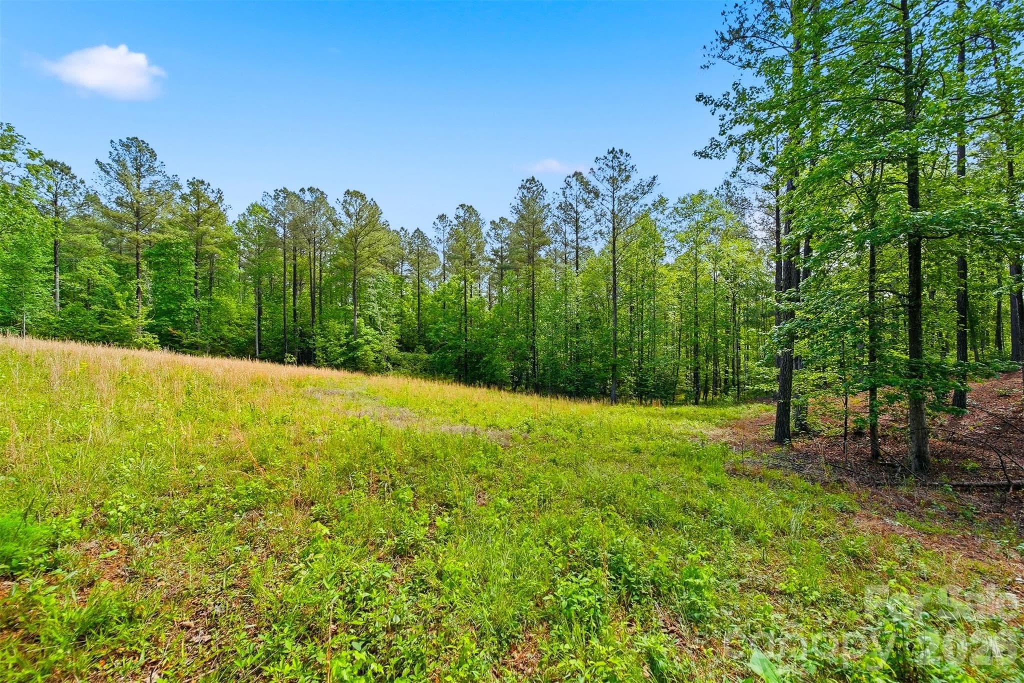 Acreage at 00 Connelly Springs Road, Granite Falls, photo 9 of 11