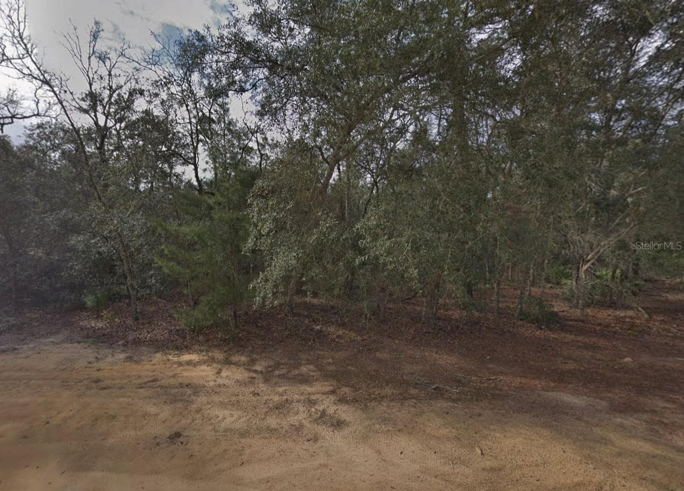 917 DAVID AVE