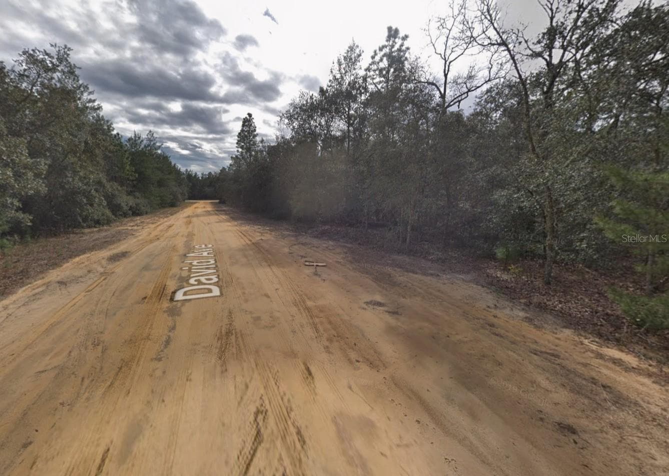 Land at 917 DAVID AVE, INTERLACHEN, photo 2 of 5