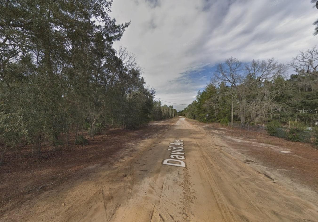 Land at 917 DAVID AVE, INTERLACHEN, photo 3 of 5