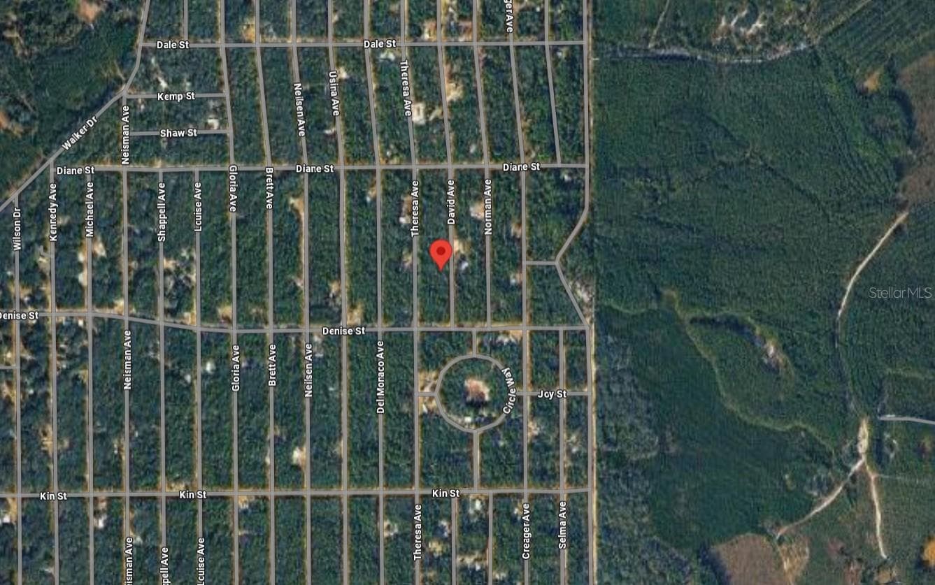 Land at 917 DAVID AVE, INTERLACHEN, photo 4 of 5