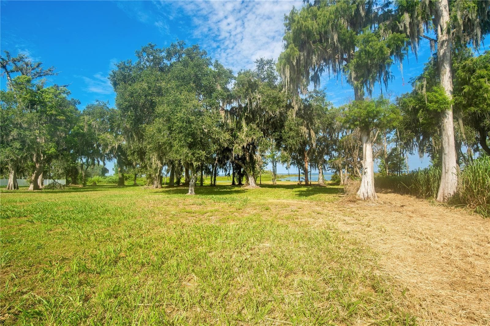 Land at 4810 CALASANS AVE, ST CLOUD, photo 39 of 57