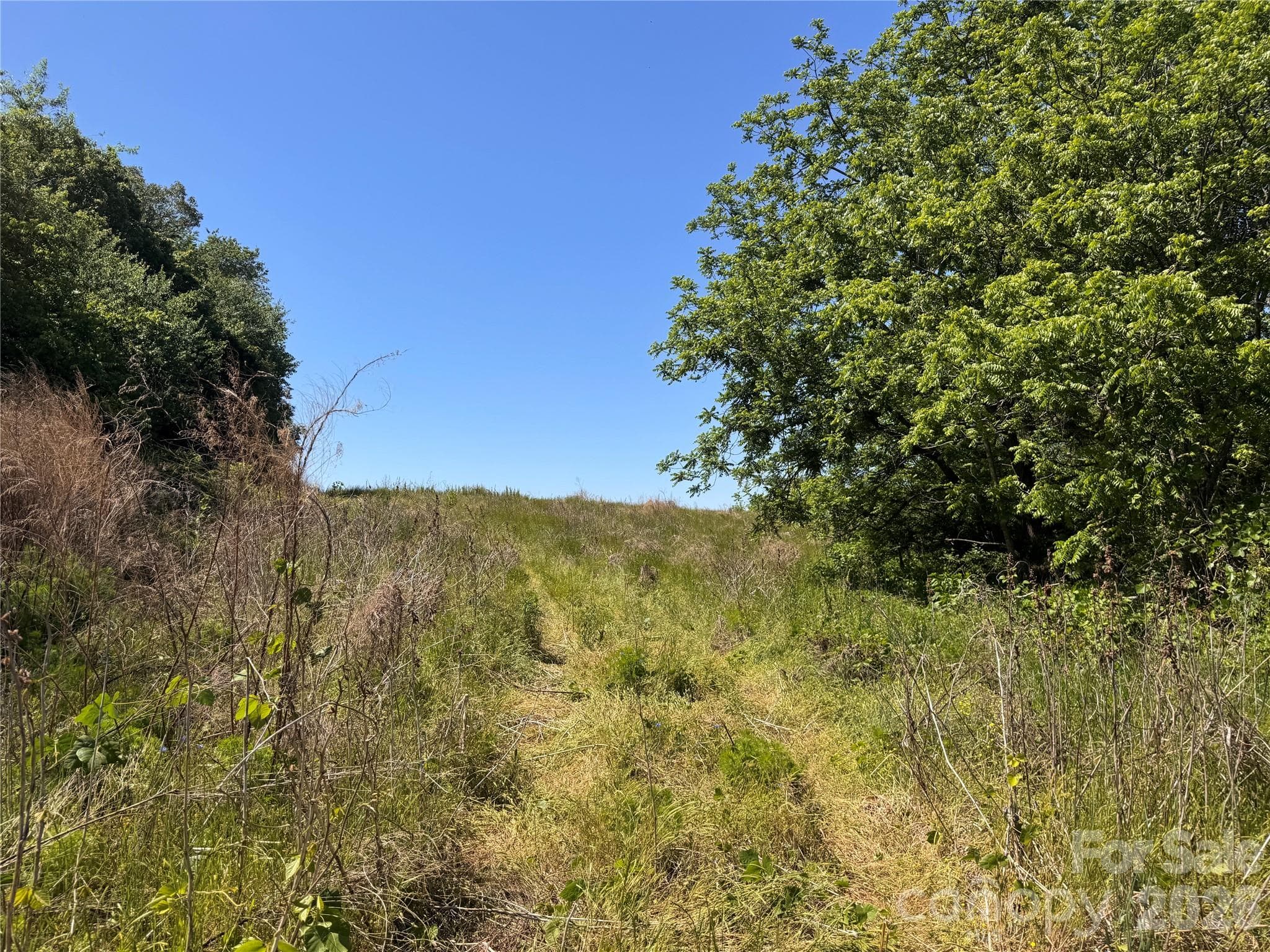 Acreage at Claremont, photo 8 of 28