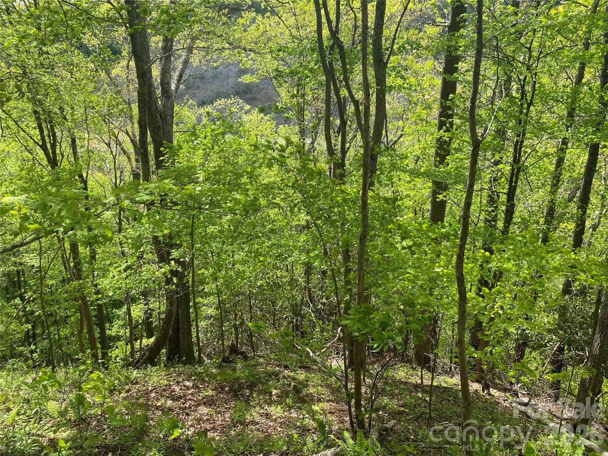 Acreage at Mars Hill, photo 16 of 23