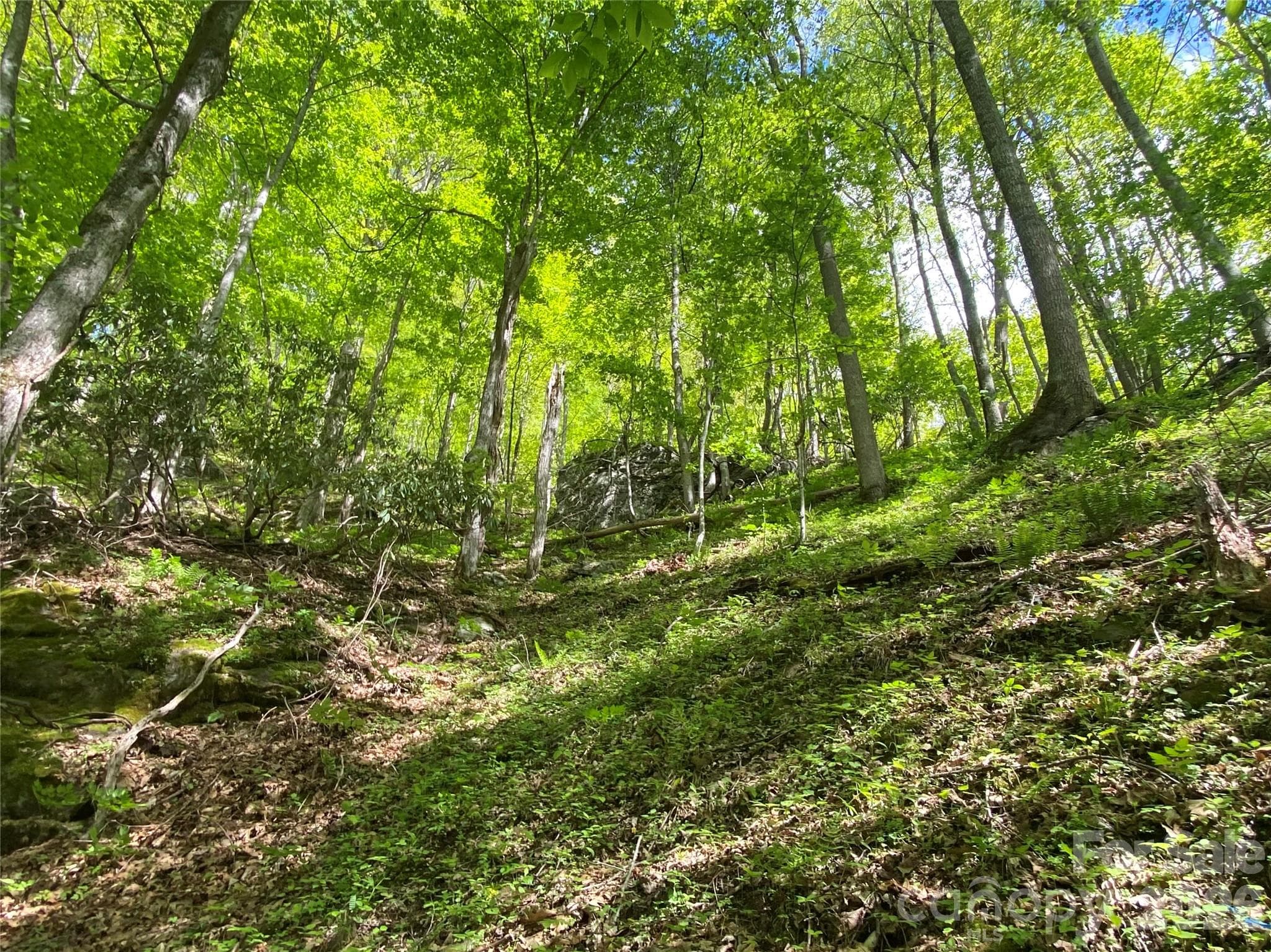 Acreage at Mars Hill, photo 20 of 23