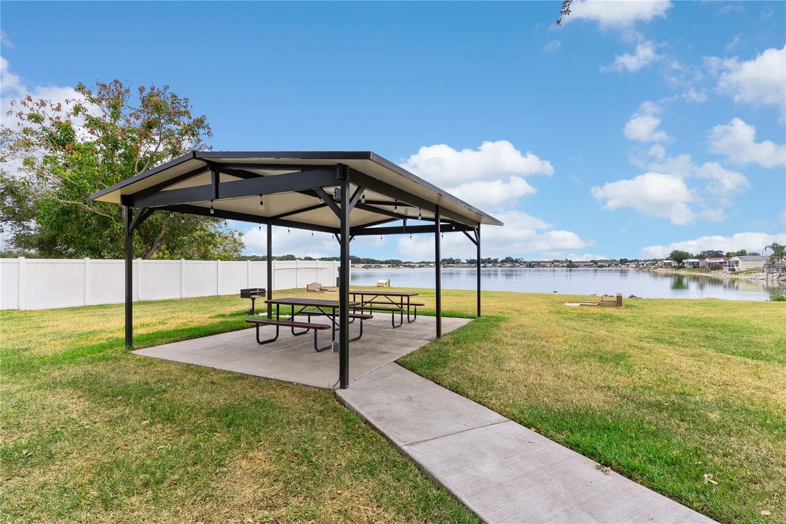 PICNIC AREA WITH HORSESHOE & GRILL - 9426 STAR GAZER LN, RIVERVIEW