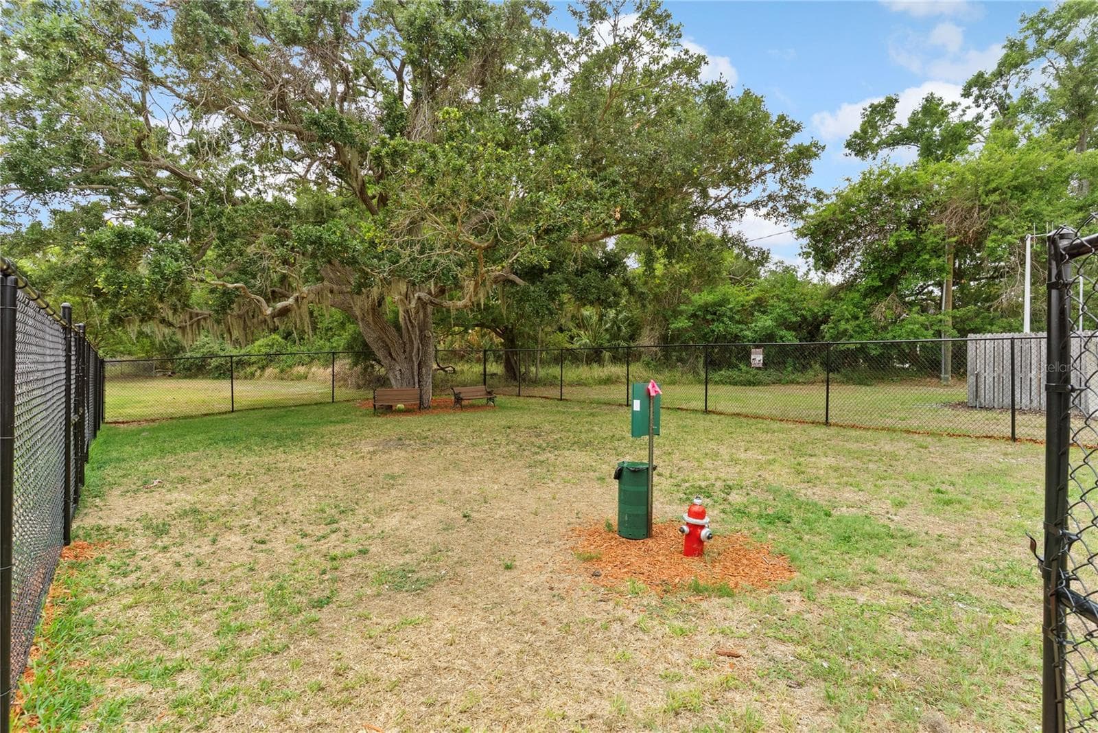 DOG PARK - 9426 STAR GAZER LN, RIVERVIEW