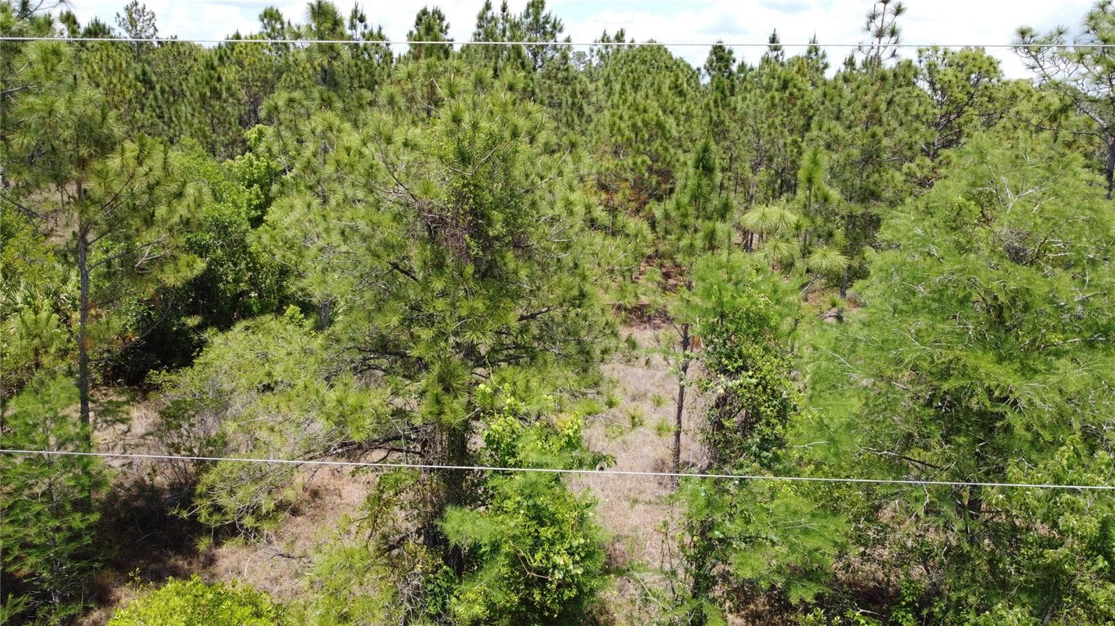 Land at STARRY ST, ORLANDO, photo 2 of 11