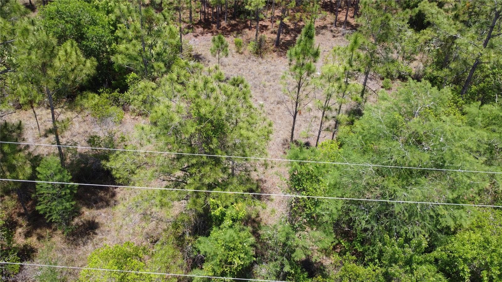 Land at STARRY ST, ORLANDO, photo 7 of 11