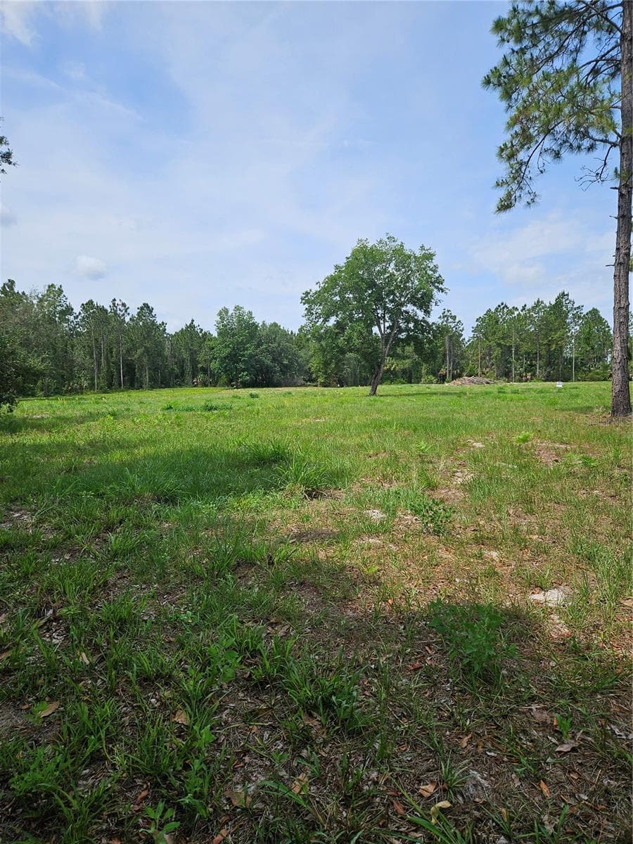 GENEVA WOODS CV