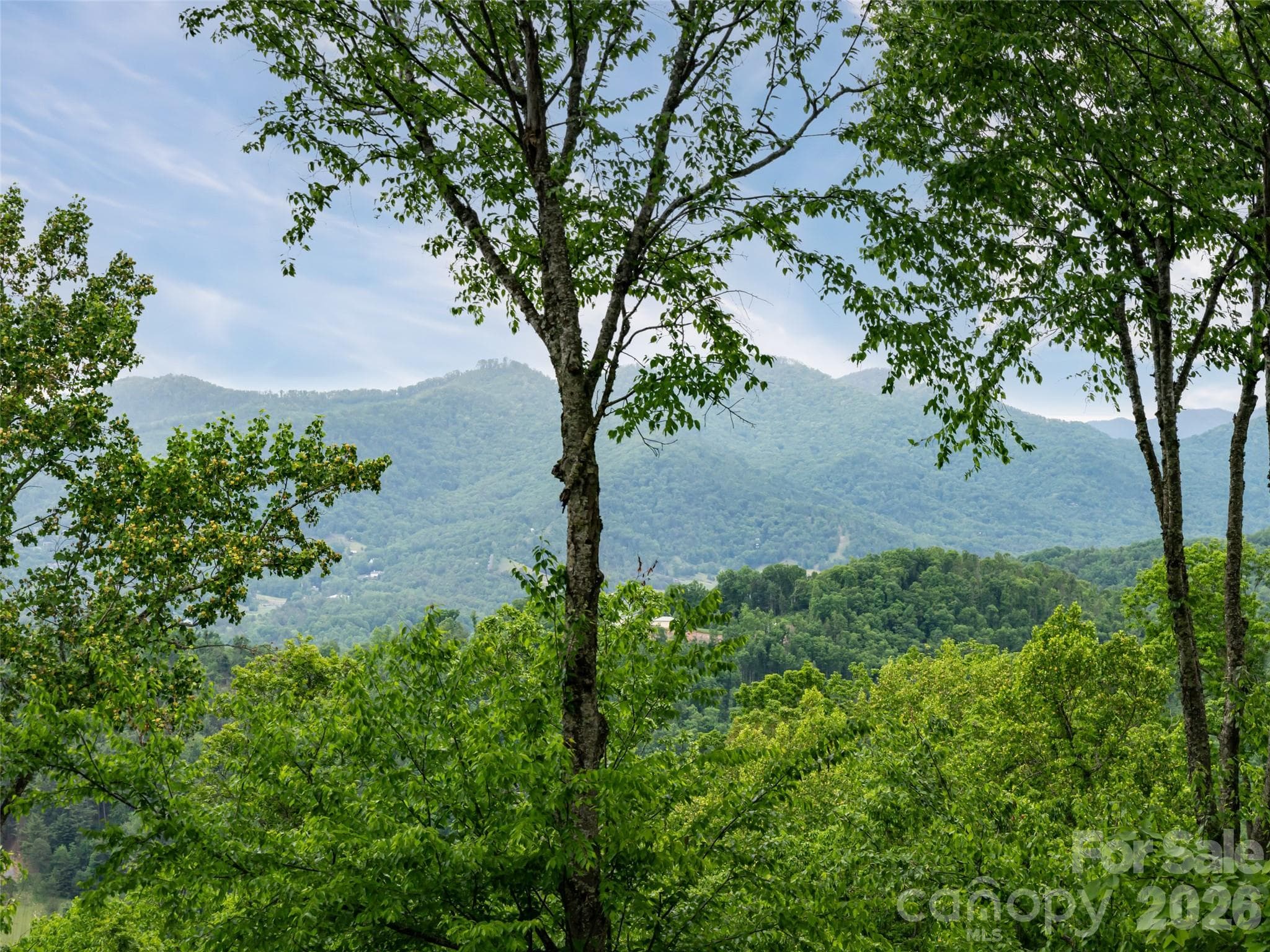 Single Family Residence at 29 Elk Ridge Drive, Asheville, photo 4 of 48