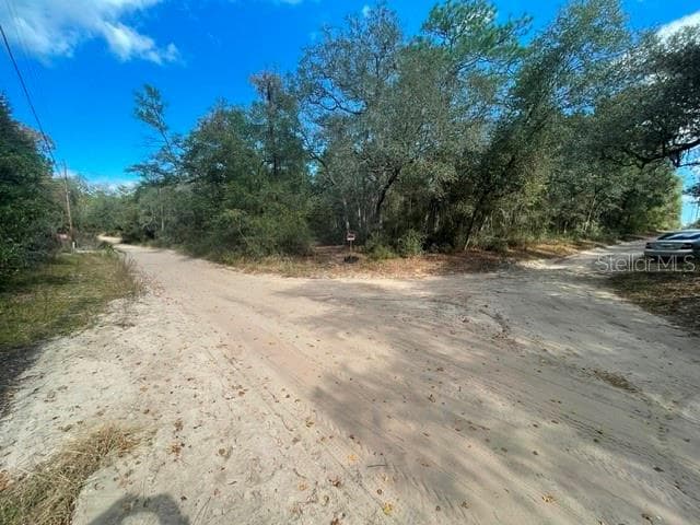 Land at 9345 SE 195TH AVE, OCKLAWAHA, photo 3 of 15