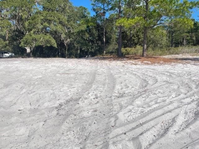 Land at 9345 SE 195TH AVE, OCKLAWAHA, photo 4 of 15