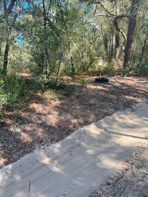 Land at 9345 SE 195TH AVE, OCKLAWAHA, photo 5 of 15