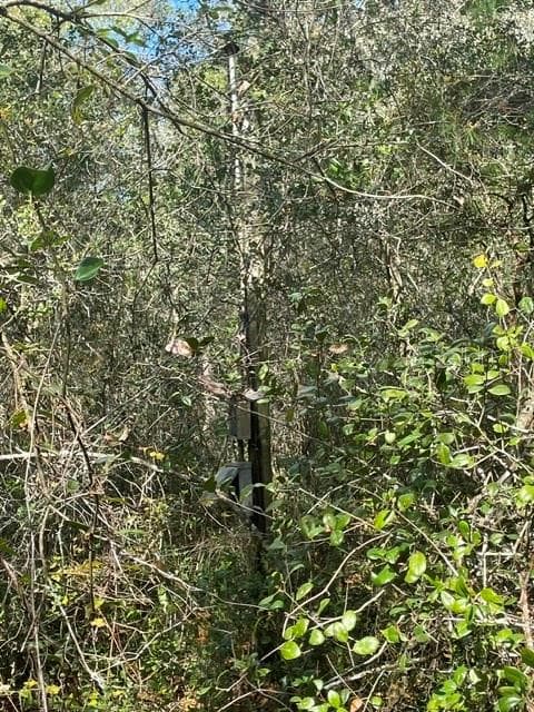 Land at 9345 SE 195TH AVE, OCKLAWAHA, photo 8 of 15