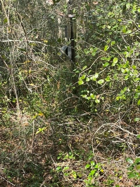 Land at 9345 SE 195TH AVE, OCKLAWAHA, photo 9 of 15