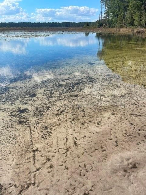 Land at 9345 SE 195TH AVE, OCKLAWAHA, photo 11 of 15