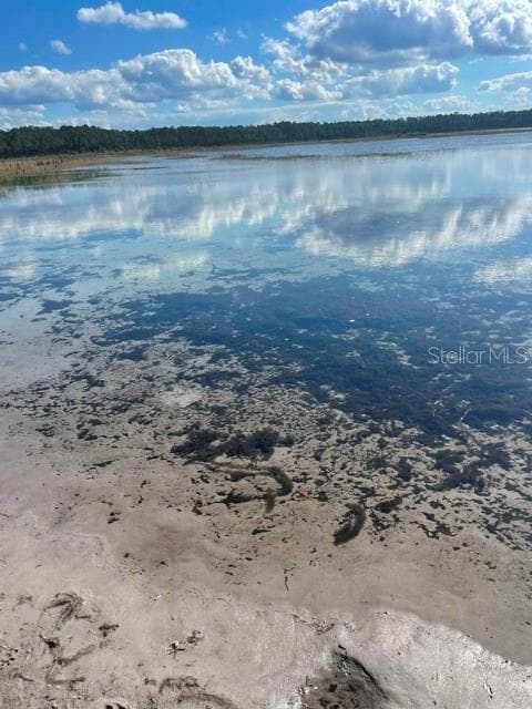 Land at 9345 SE 195TH AVE, OCKLAWAHA, photo 14 of 15