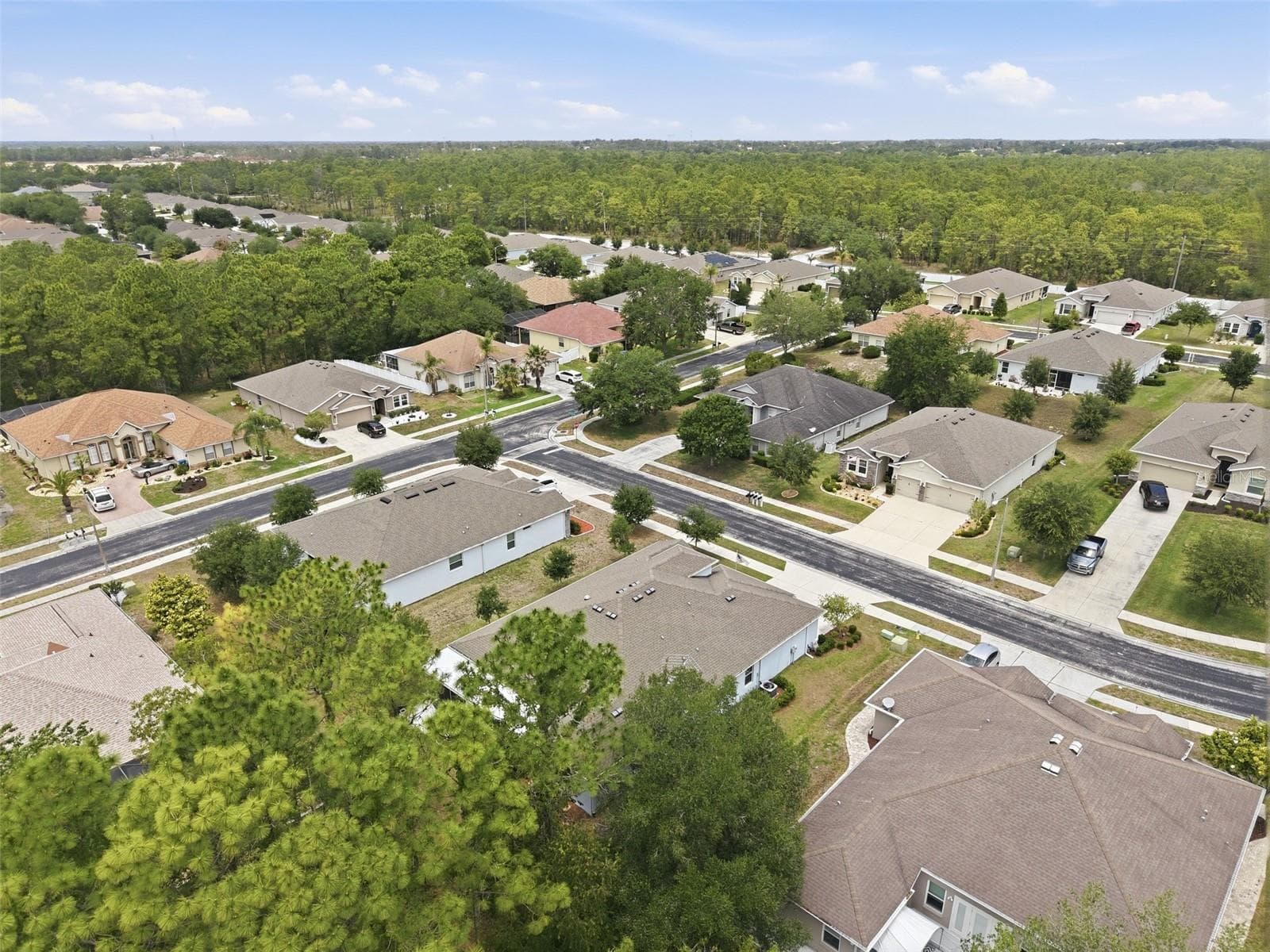 Single Family Residence at 13897 BLYTHEWOOD DR, SPRING HILL, photo 69 of 85