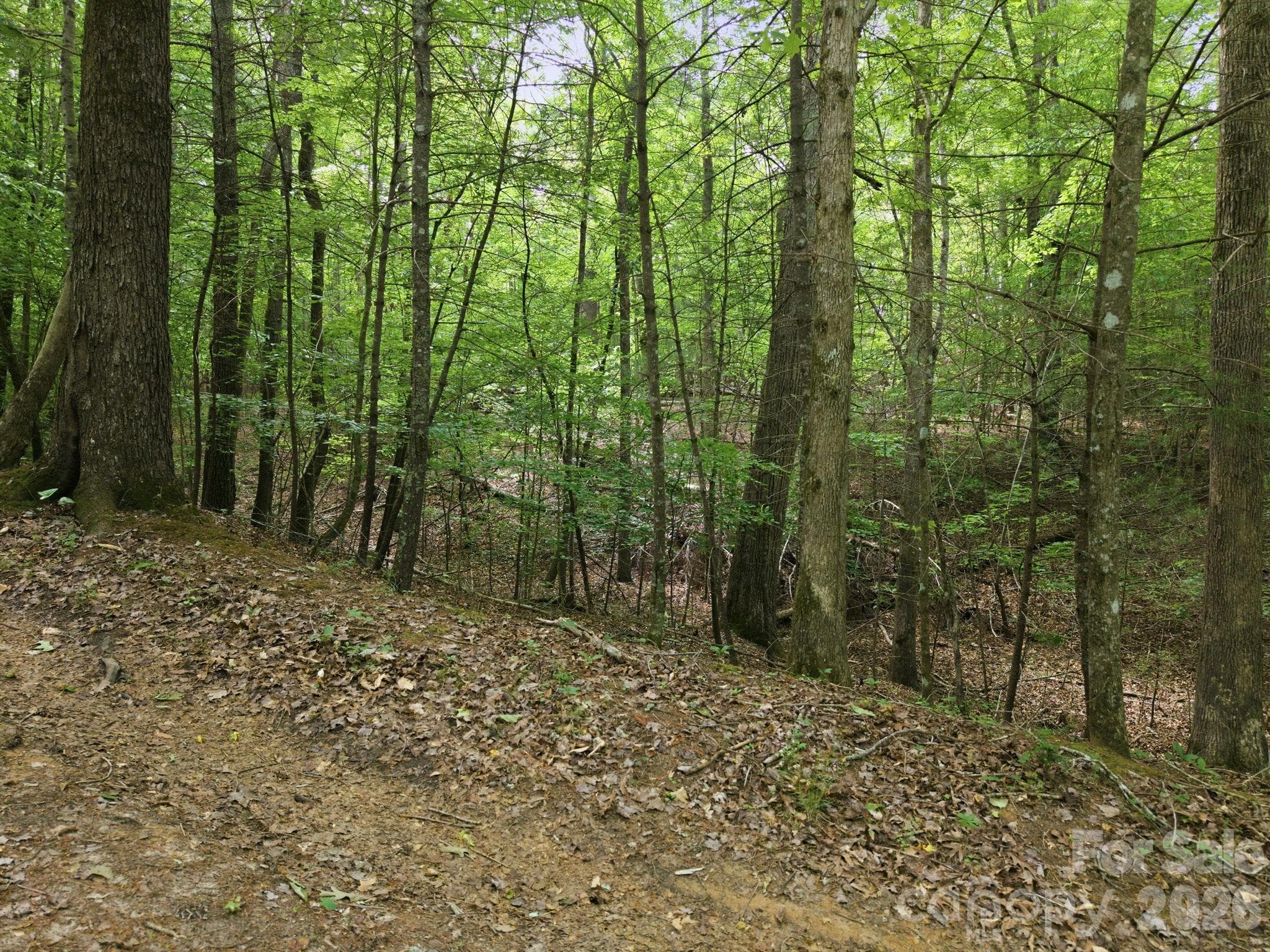 Acreage at Lenoir, photo 3 of 6